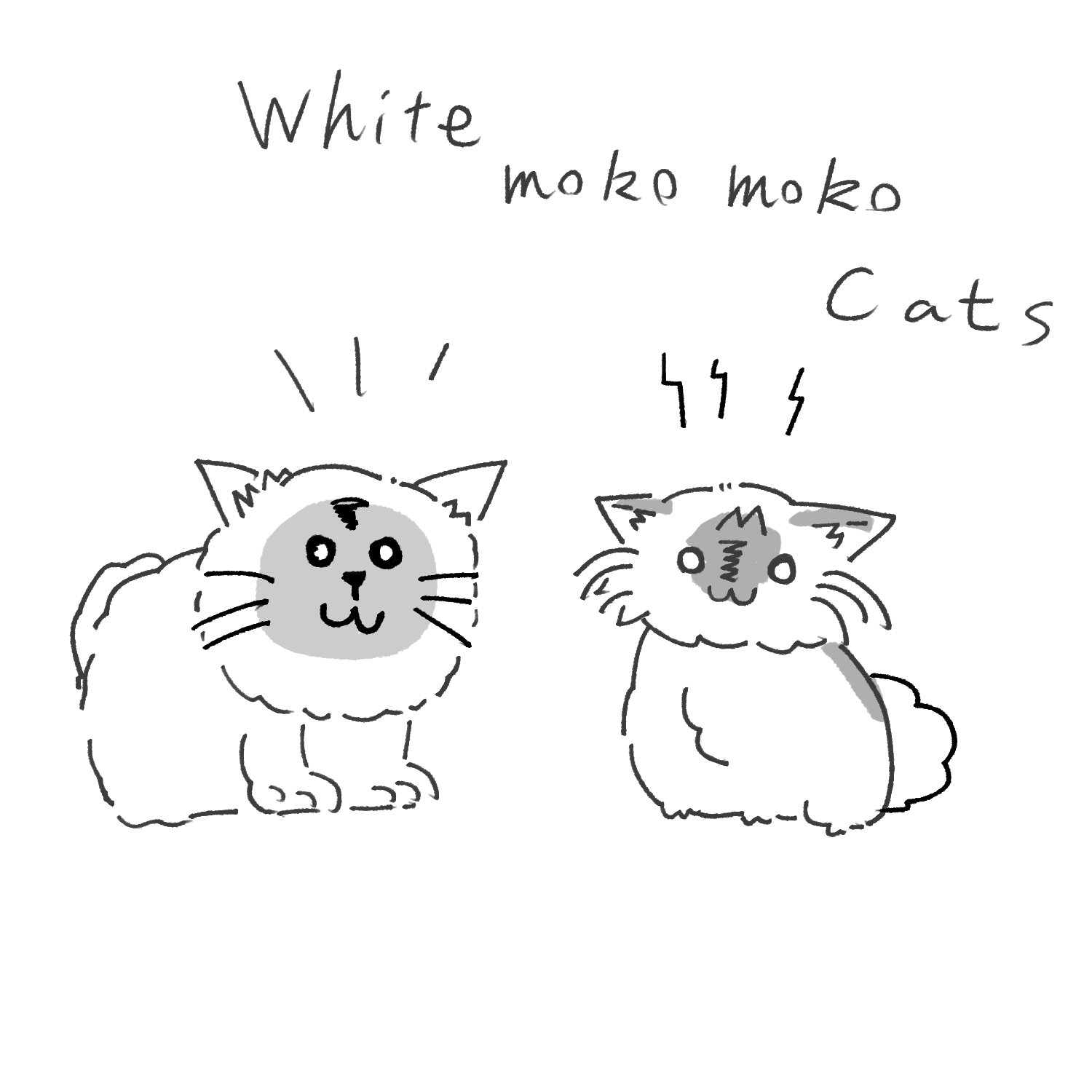 white moko moko cats