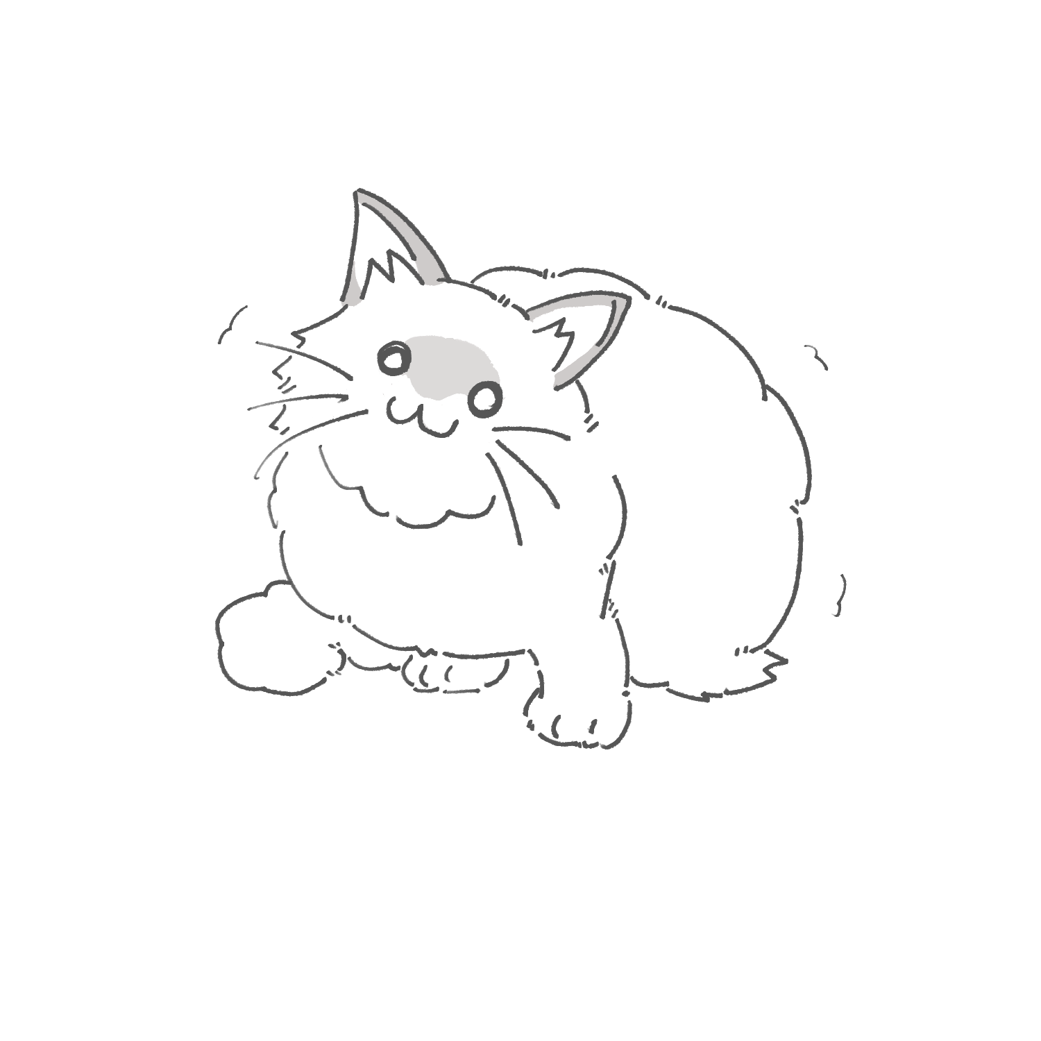 しろくてもこもこのねこ