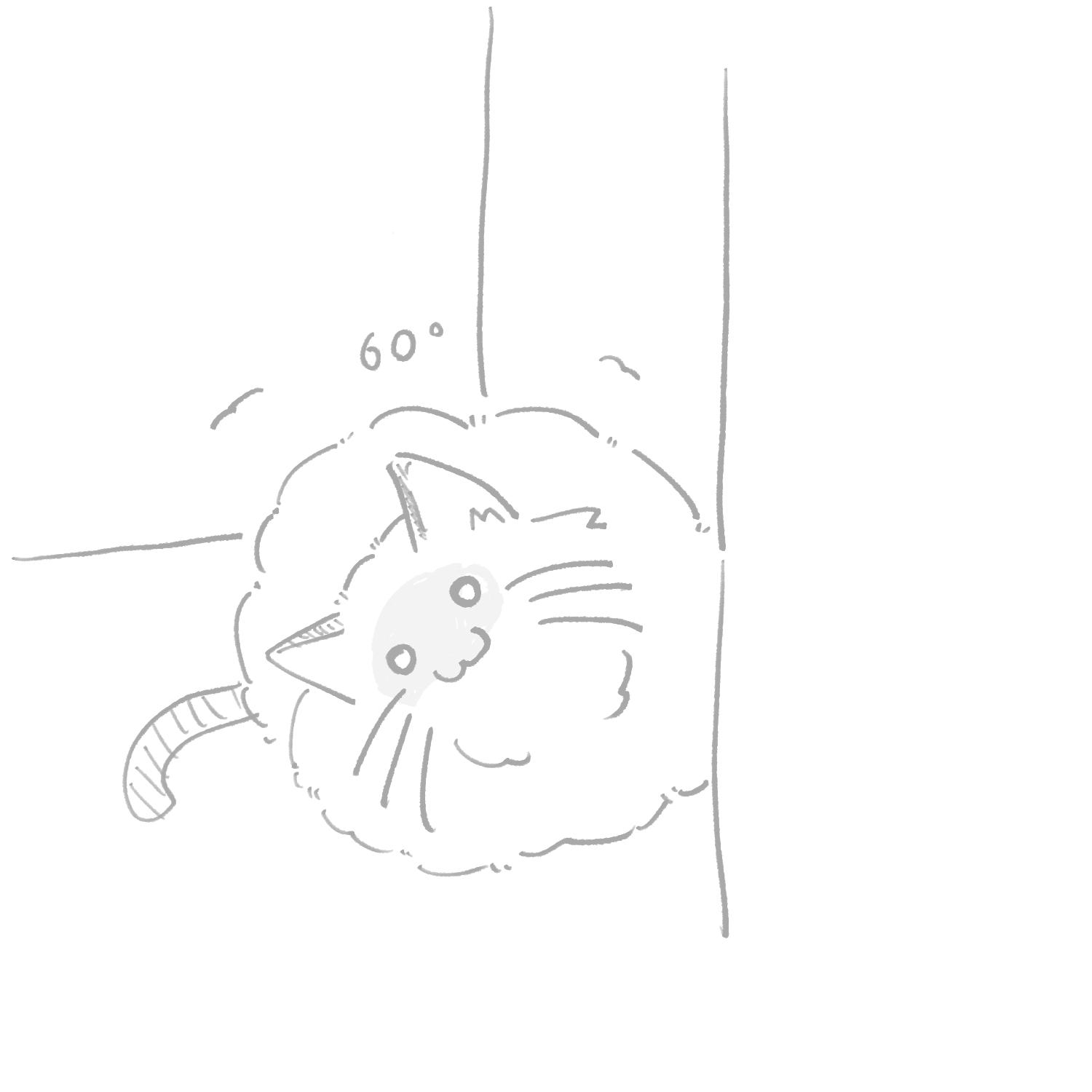 しろくてもこもこのねこ